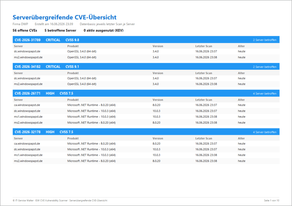 Serverübergreifende CVE Übersicht